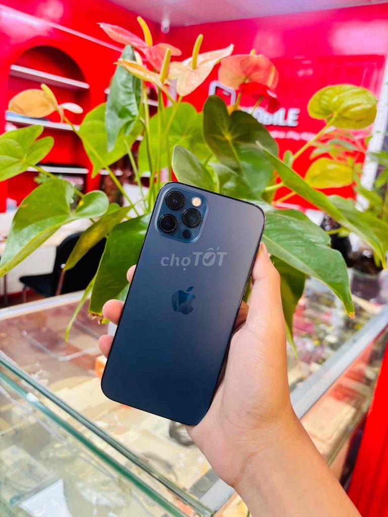 [Grade A (99% Like New)] iPhone 12 Pro 256gb zin nguyên ( máy clock)